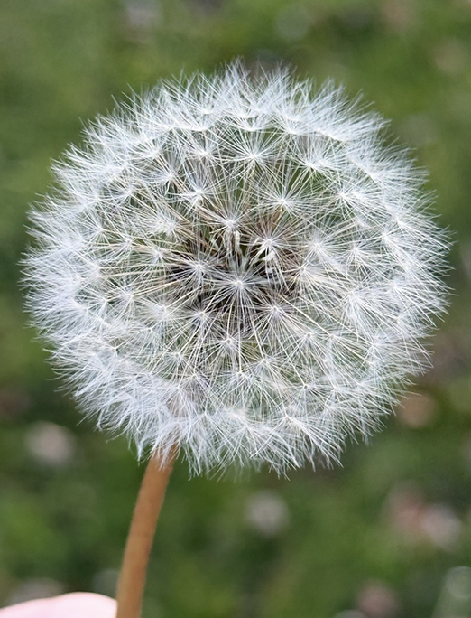 November 2025 - Janet McLaughlin