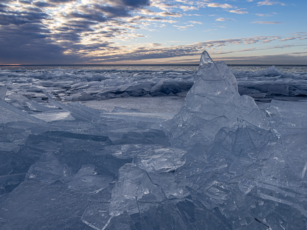 Shattered  by Laurie McShane