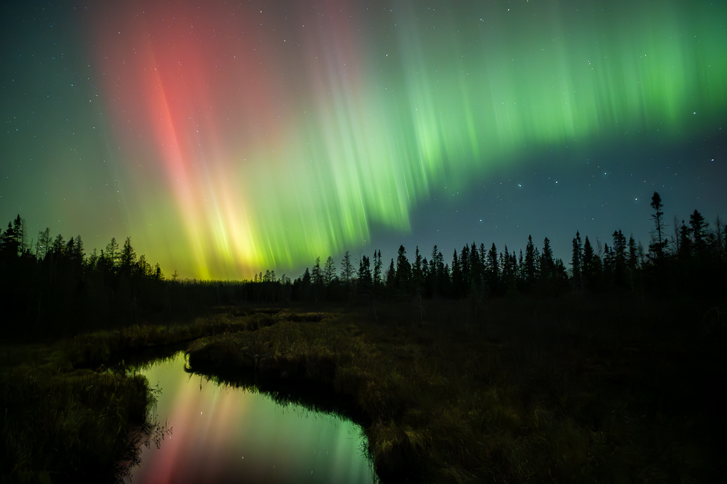 Glorious Night by Laurie McShane