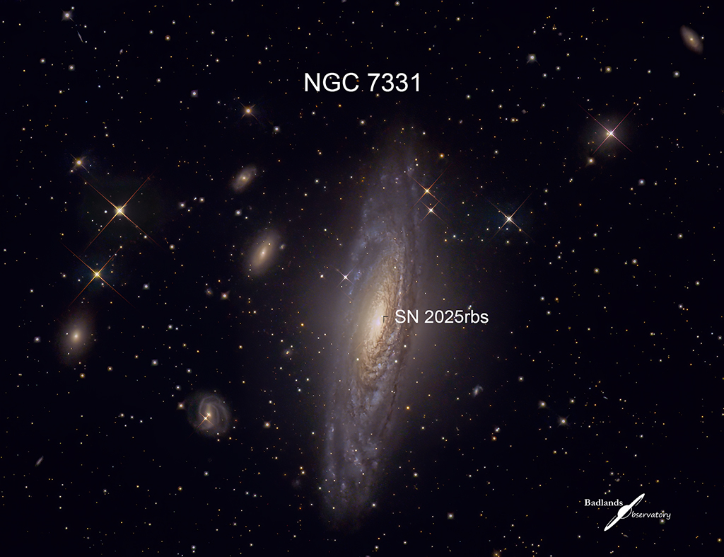 NGC 7331 Supernova Image by Teresa Hofer