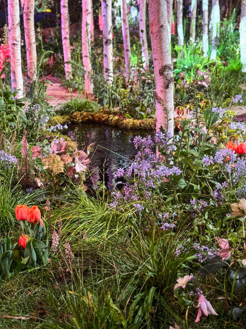 Philadelphia Garden Show  by Arabella Dane