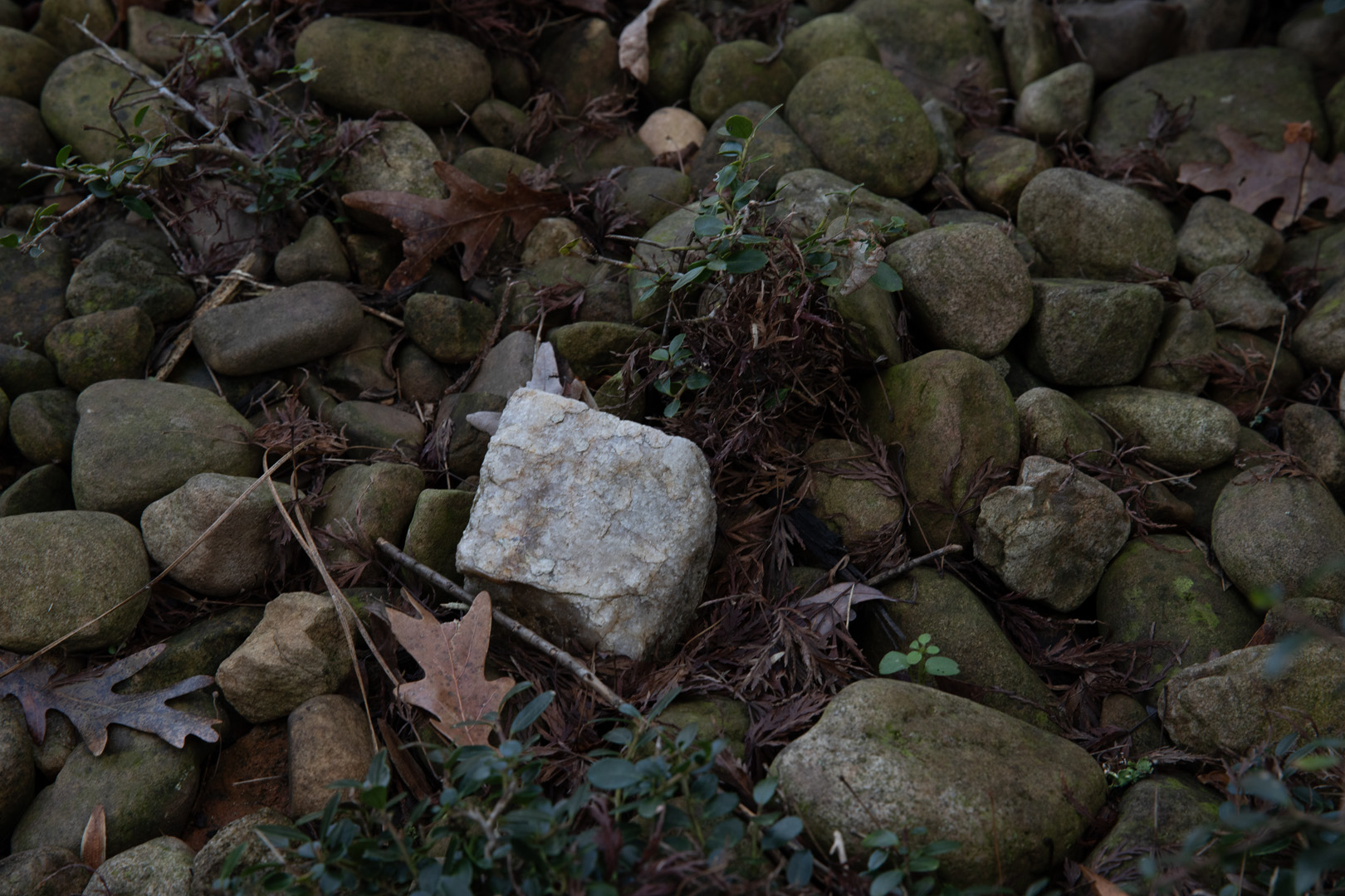 April 2026 - Elsie Allen