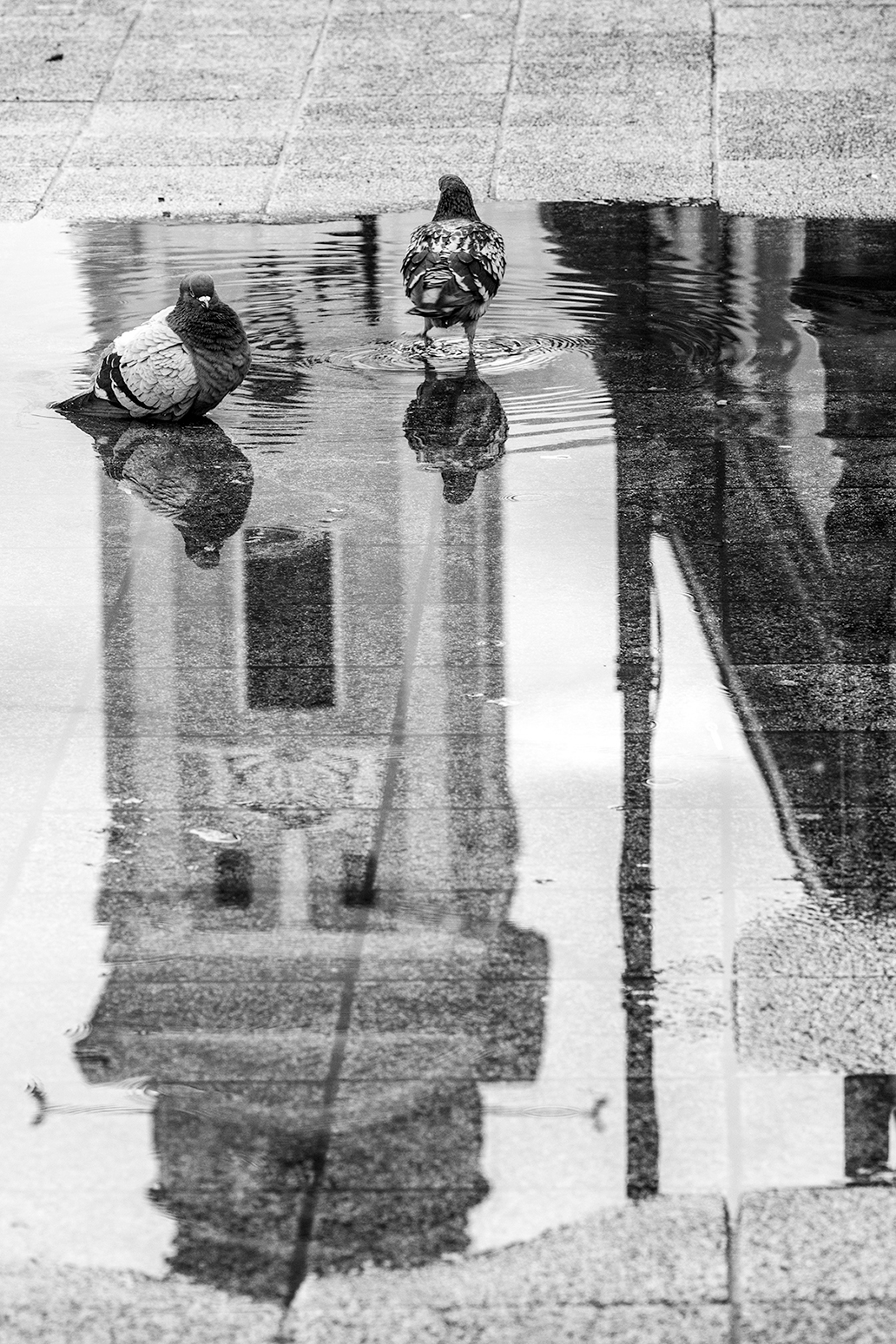 Sunday Morning by Adi Ben-Senior