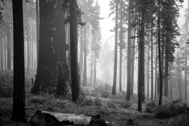 Mystery by John Nilsson
