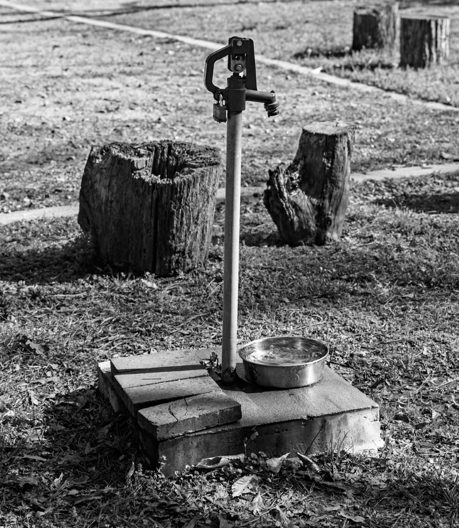 Water Pump by Elsie Allen