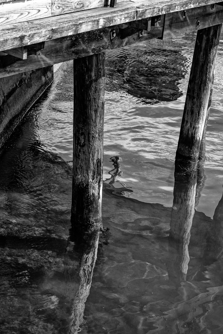 Woods Hole Drawbridge by Elsie Allen