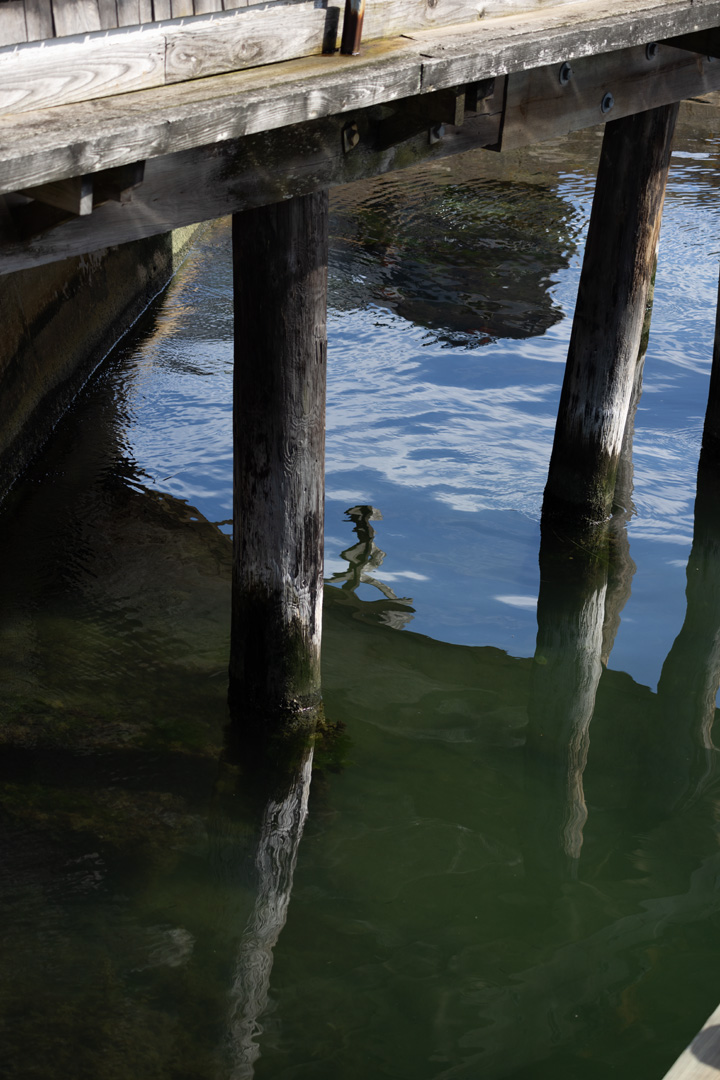 December 2025 - Elsie Allen