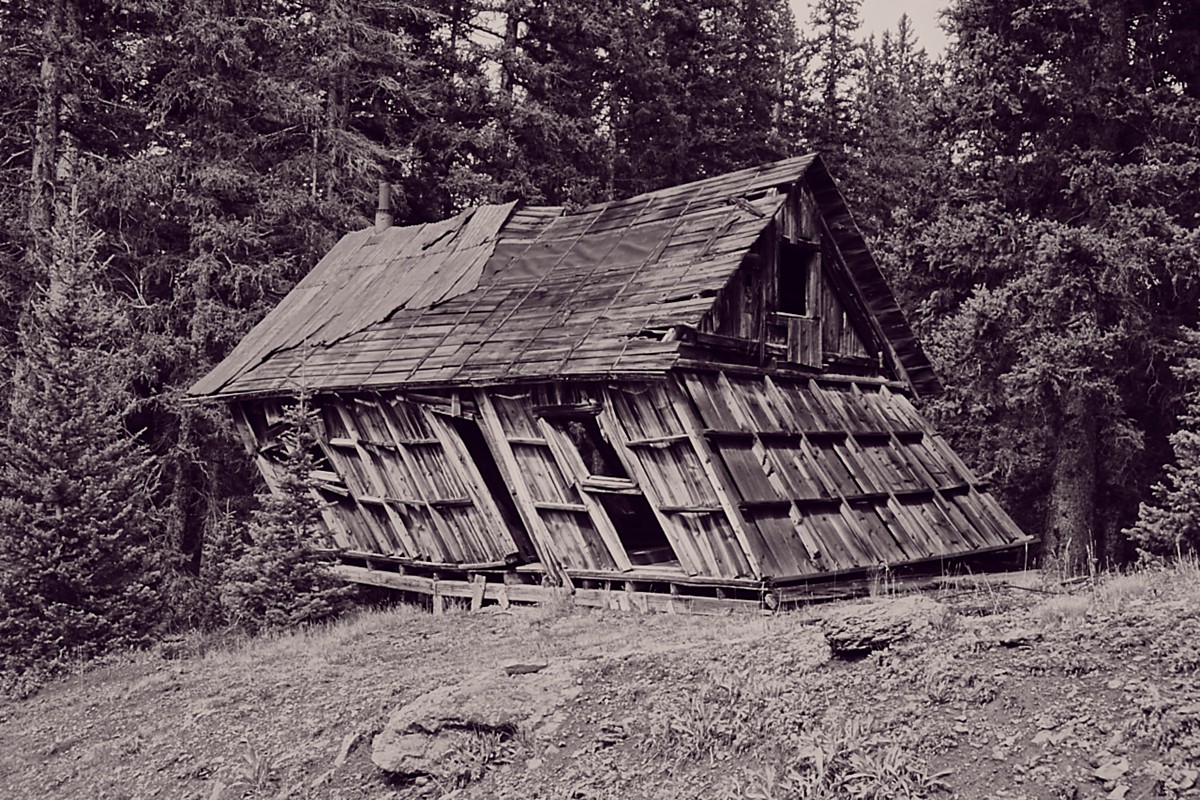 Gona Go Down  by Bill Vogel