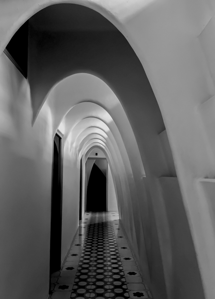 Hallway of Casa Batllo by Debasish Raha