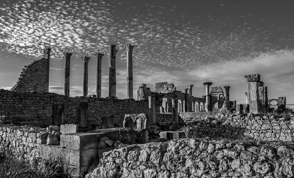 Roman Ruins in Volubilis, Morocco by Debasish Raha