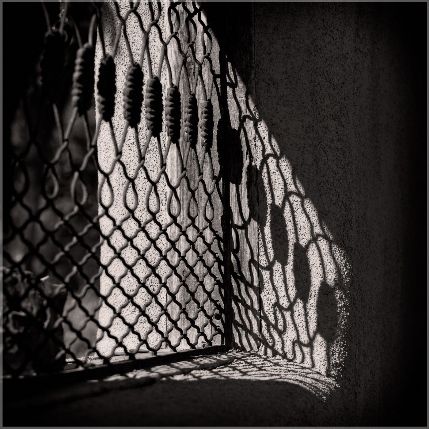 Screen Detail With Shadow by Michael Hrankowski