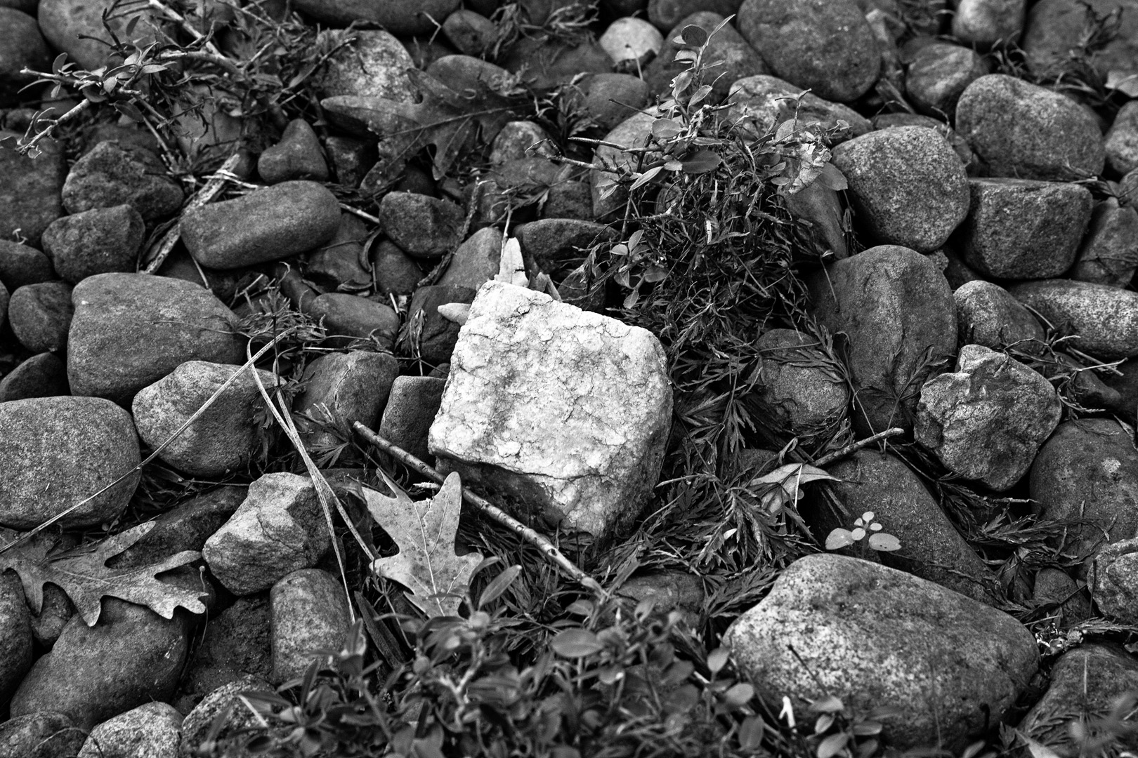 Sticks & Stones by Elsie Allen