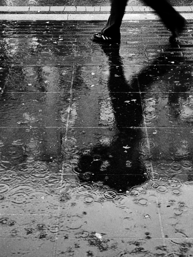 Rainy Day by Taeyoung Kang