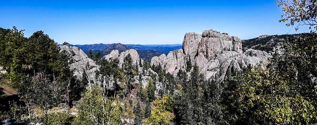 Needles Highway by Dick Burr