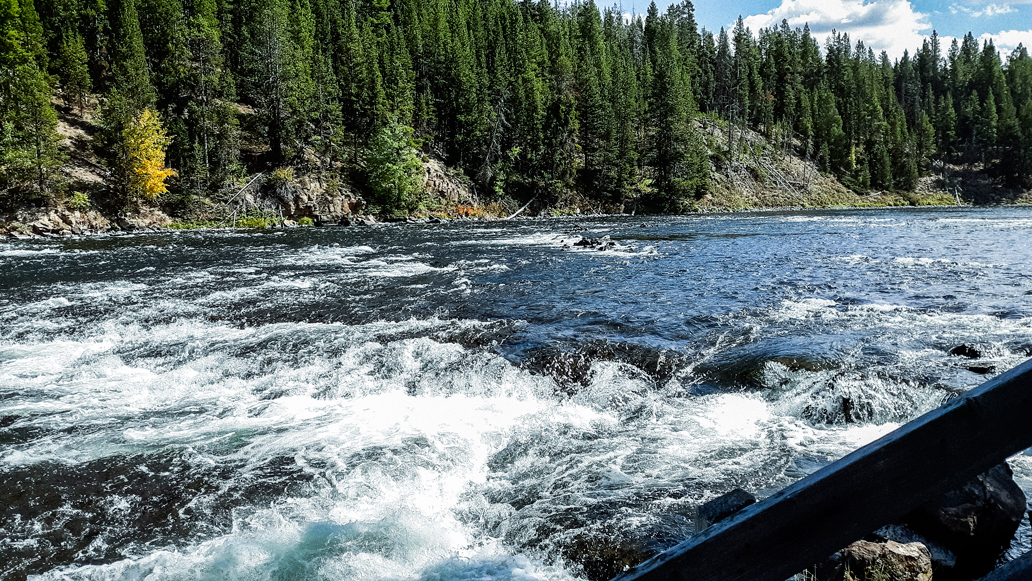 Yellowstone Waterfalls by Dick Burr