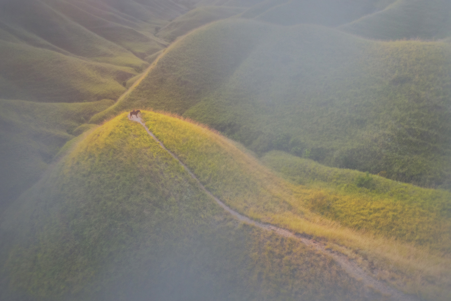 Boy on Horse from Drone by Pete Scifres