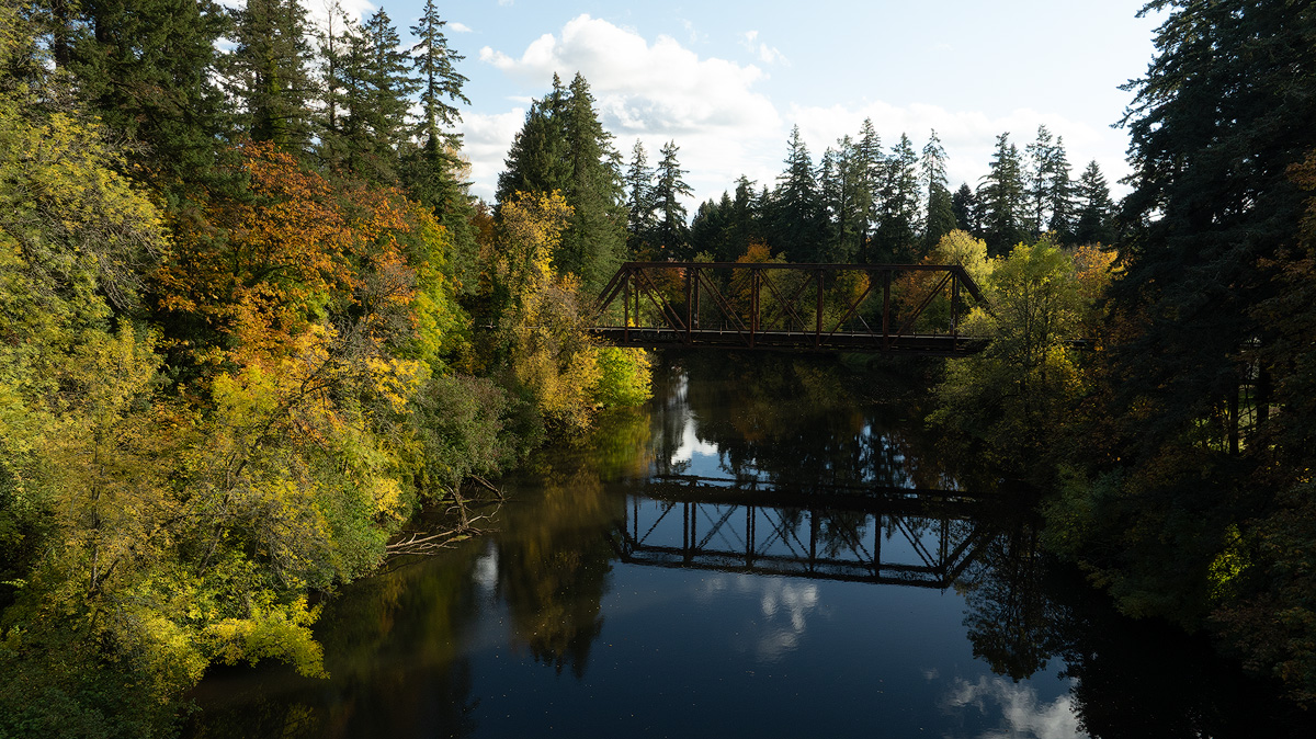 November 2025 - Patrick Campbell