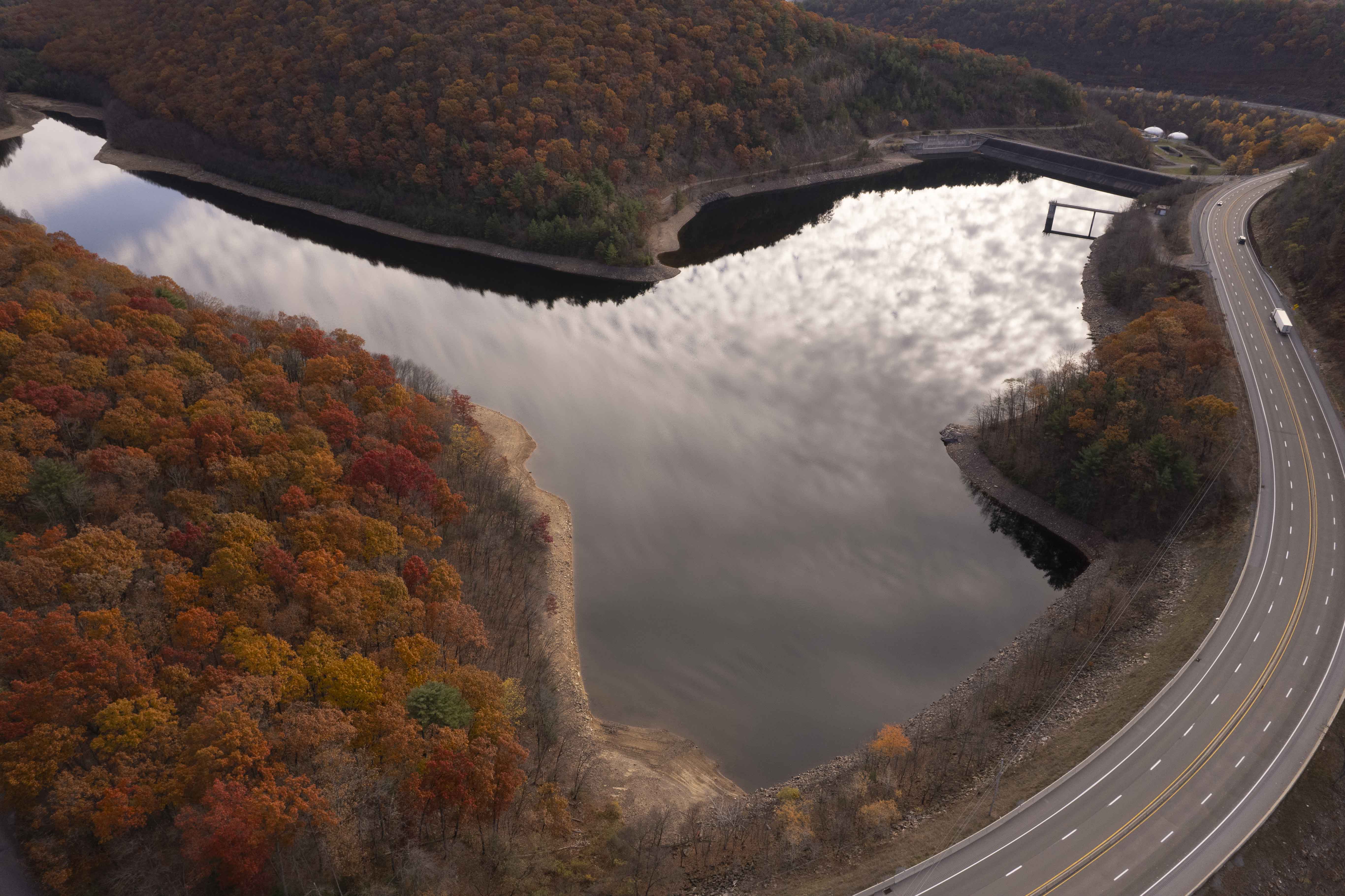 November 2025 - Lisa Cirincione, PPSA, AFIAP