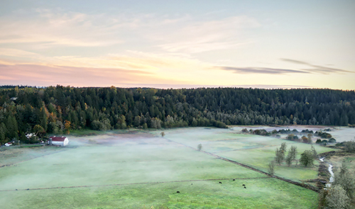 Ohop Sunrise by Gordy Swetland