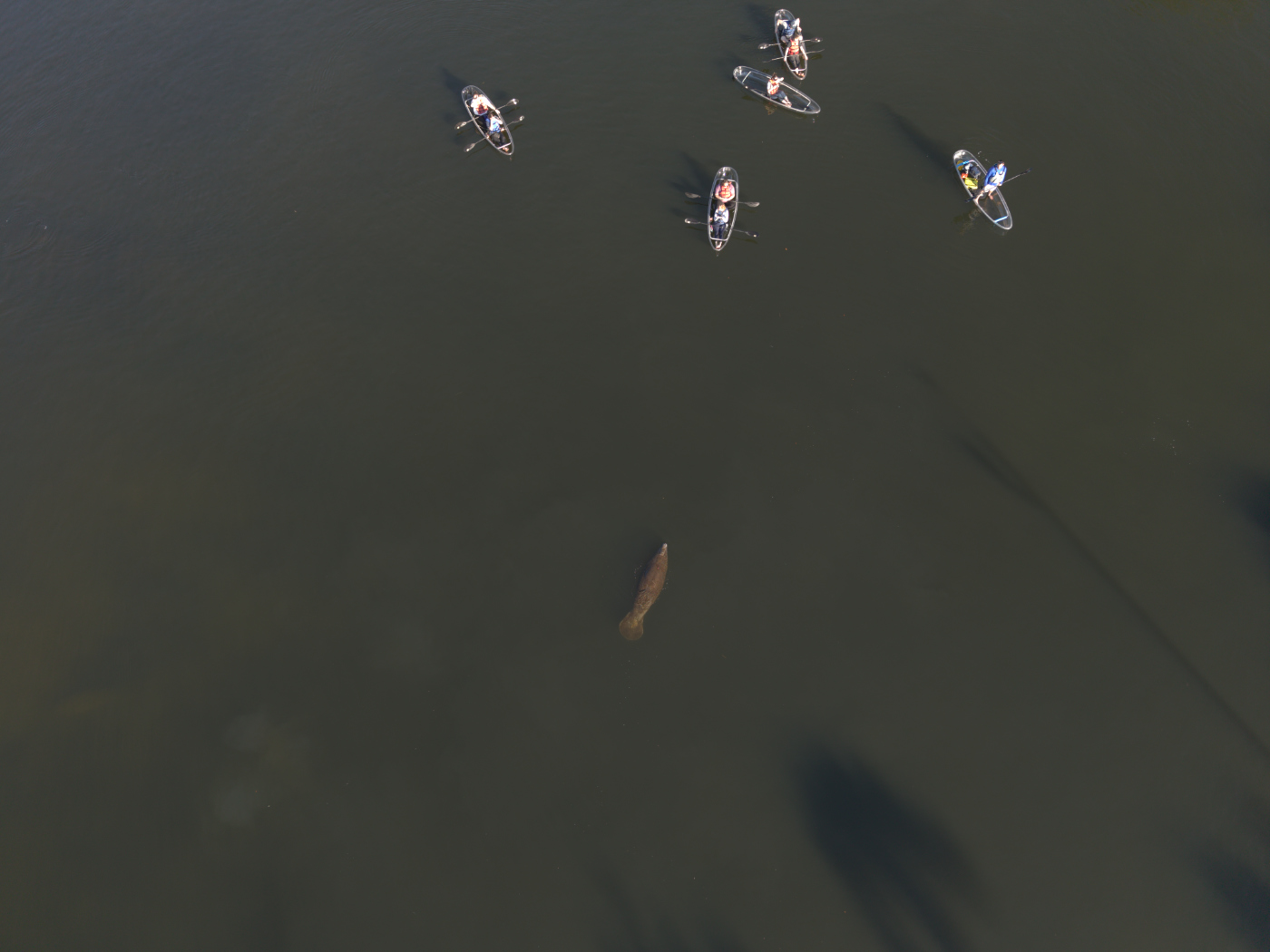 April 2026 - Richard Stauber