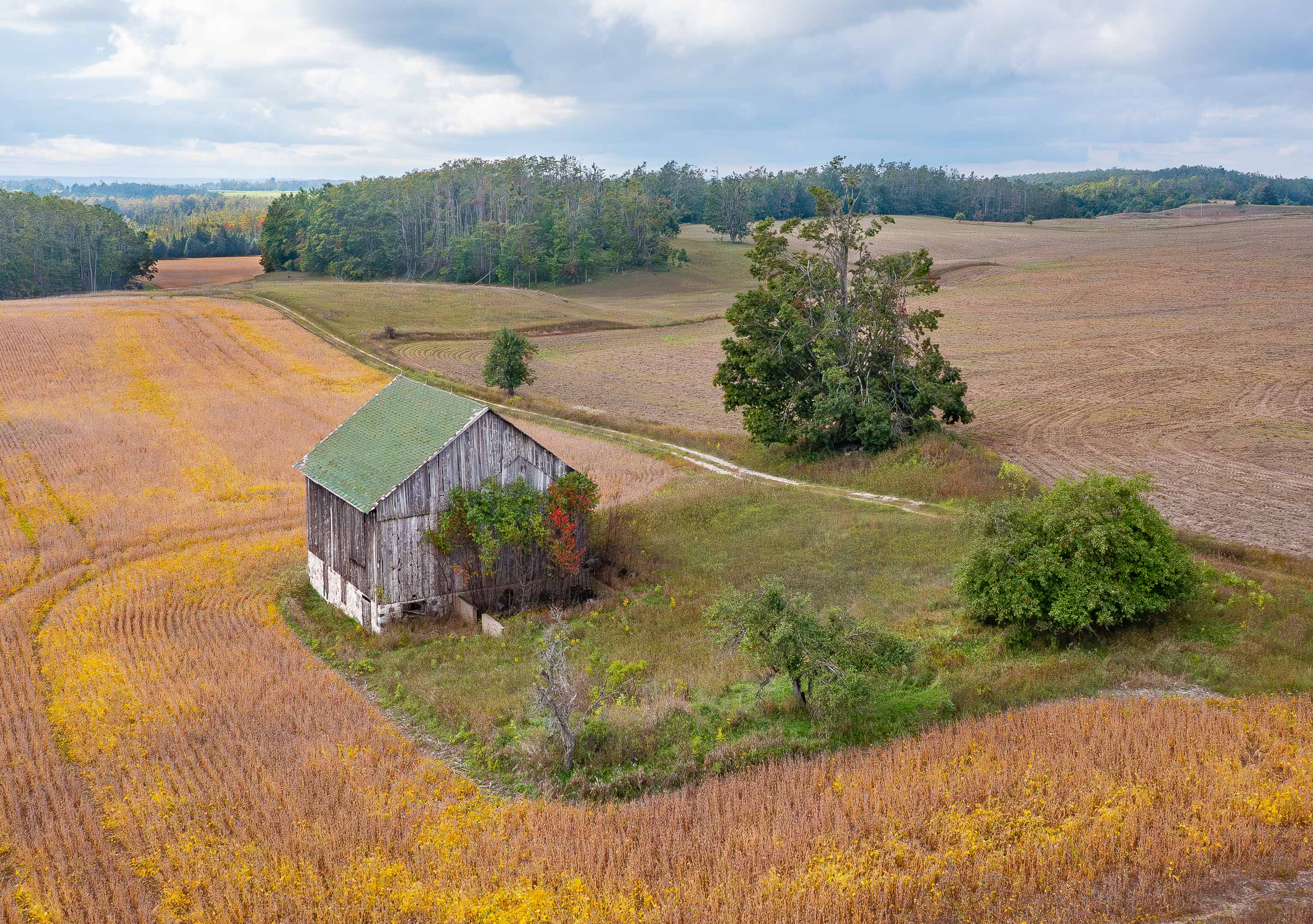 Rural Michigan by Lou McLove
