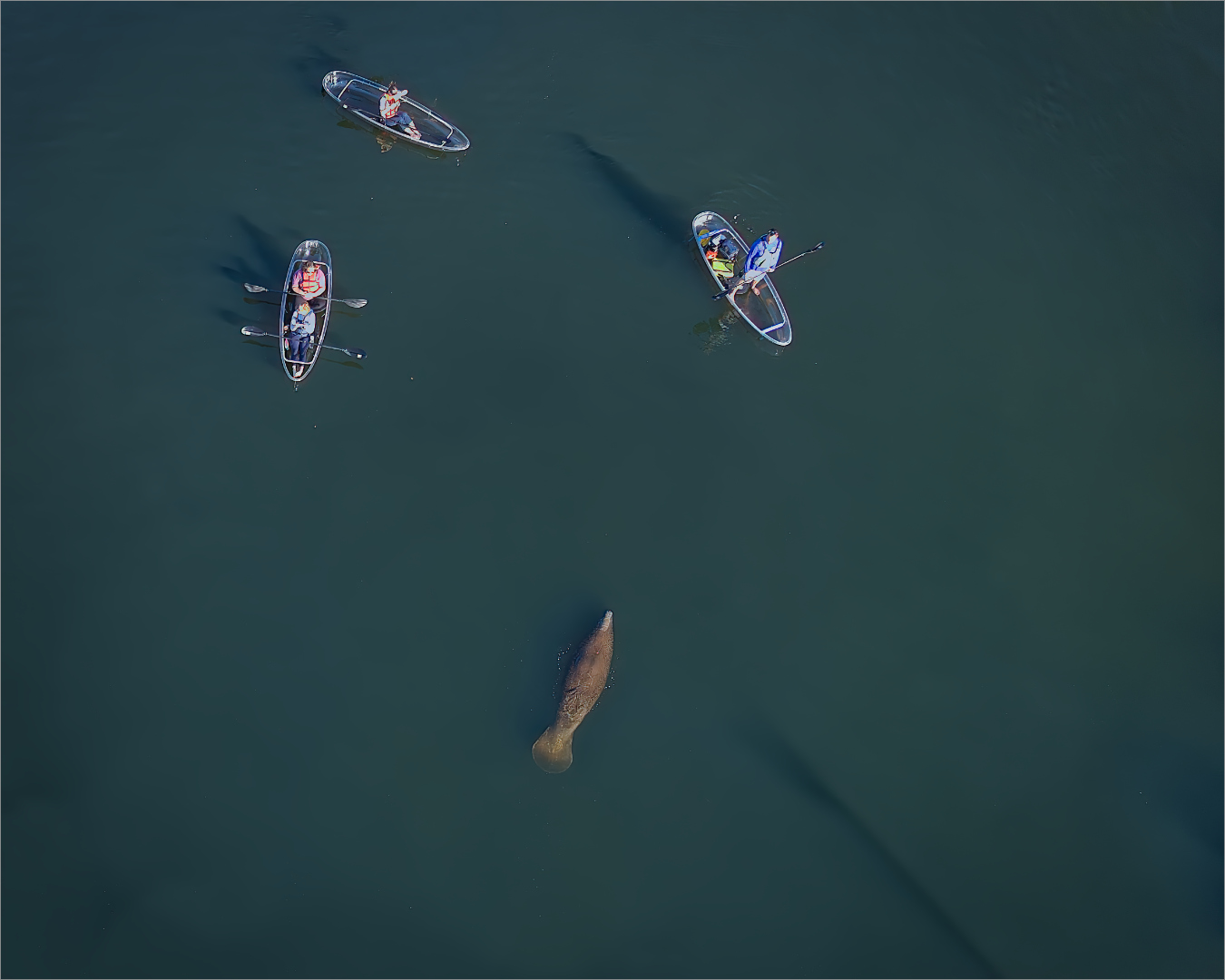 Warmer Waters by Richard Stauber