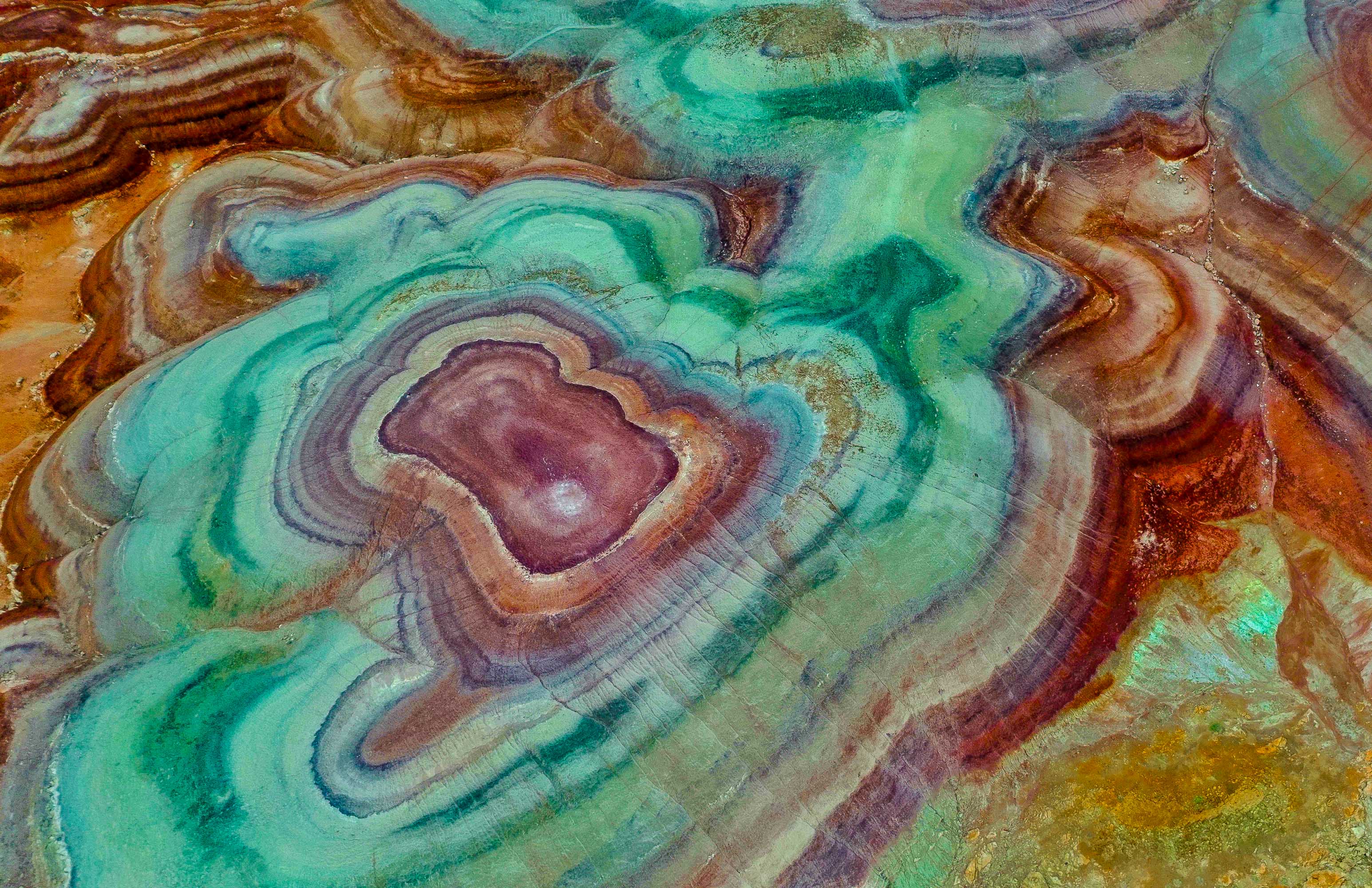 Bentonite Hills by Lou McLove