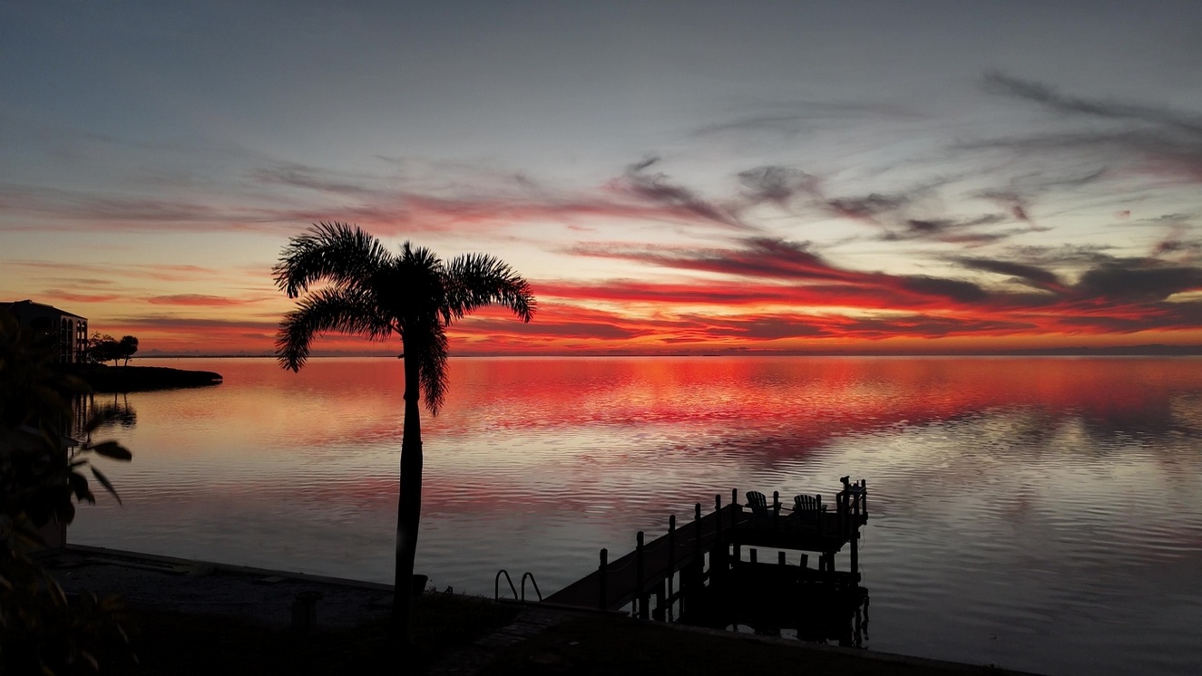 My Backyard by Mike Fernandez