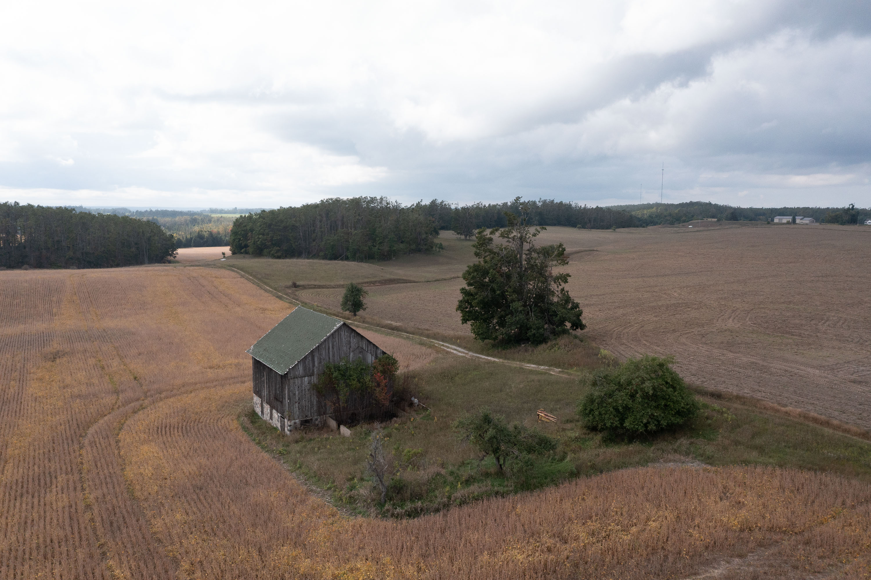 December 2025 - Lou McLove