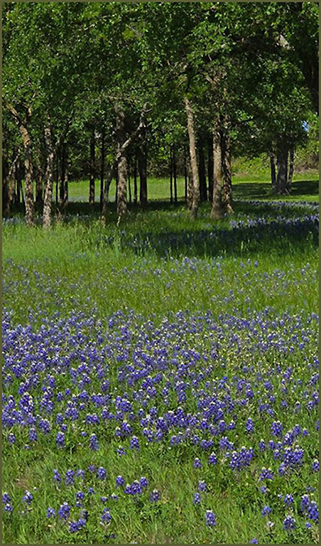 Untitled by Ruth Holt