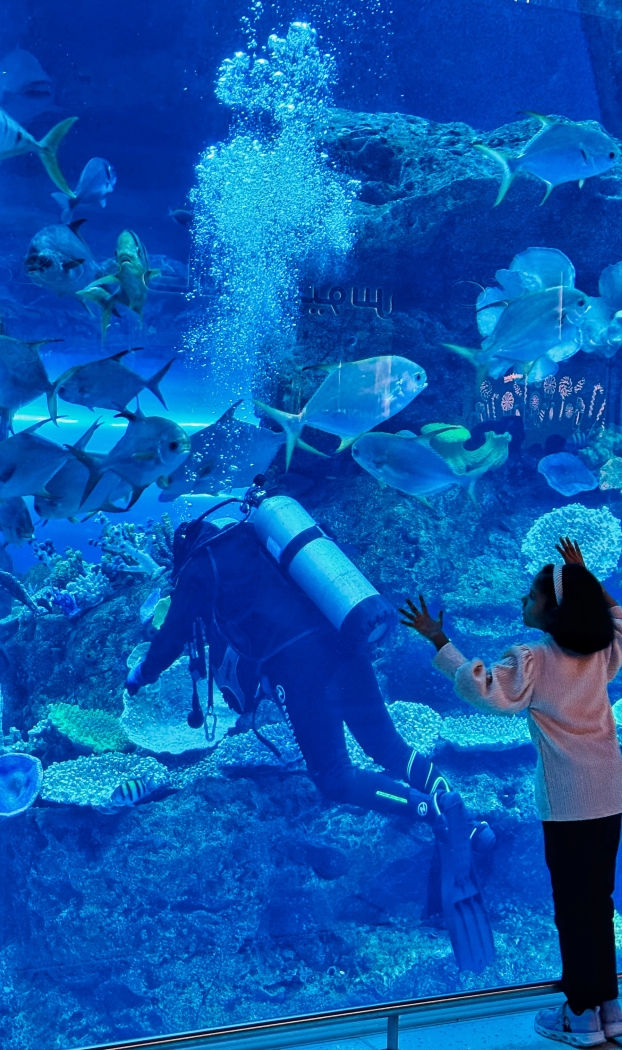 Diving with Aquatic Animals  by Kieu-Hanh Vu