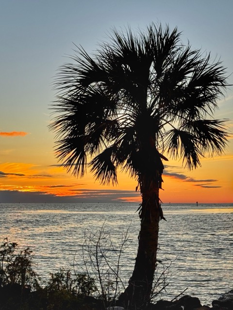 Sunset from Yankeetown Boat Dock by Susan Pellegrino