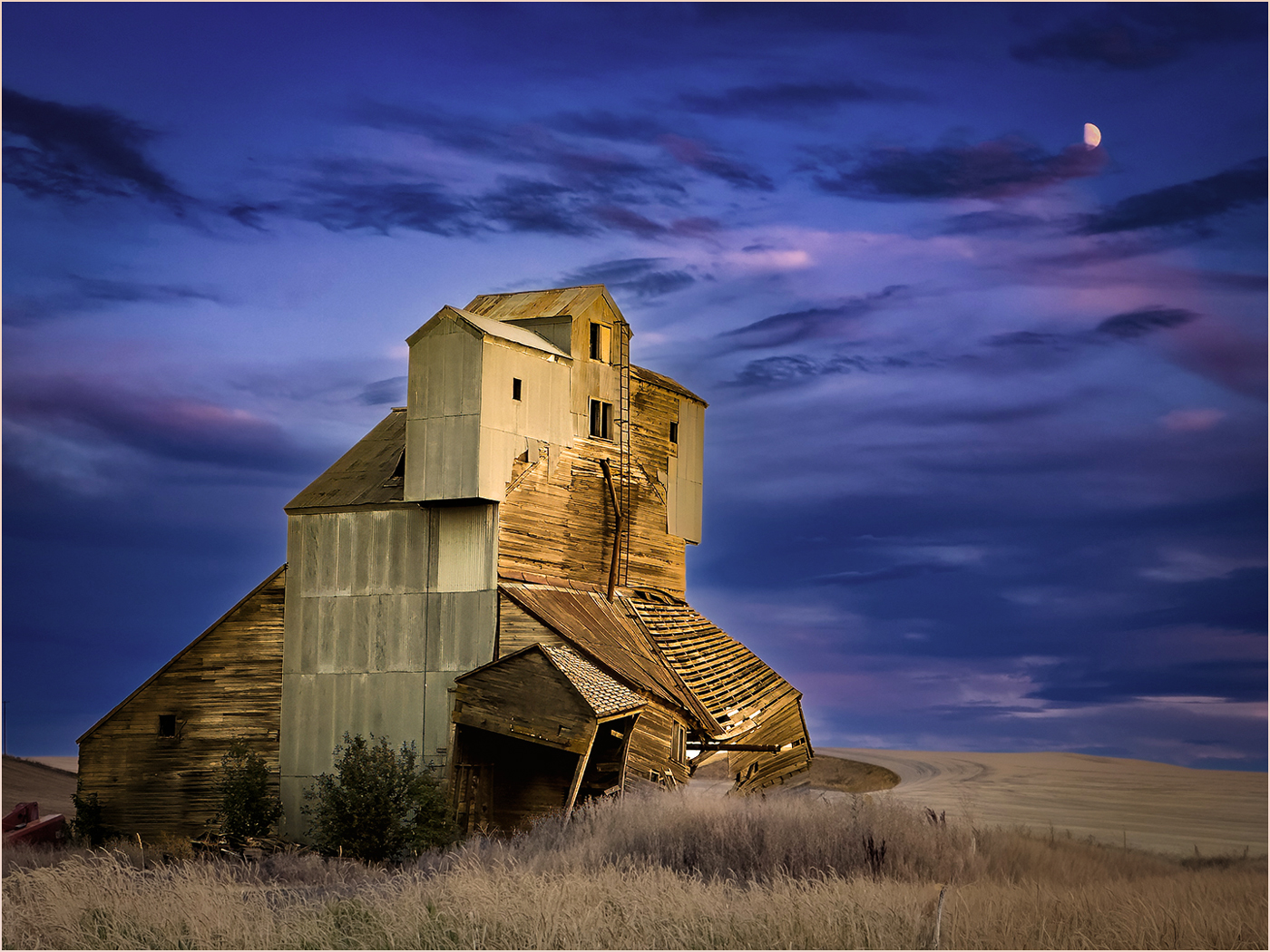 Pullman Grain Elevator by Bill Buchanan
