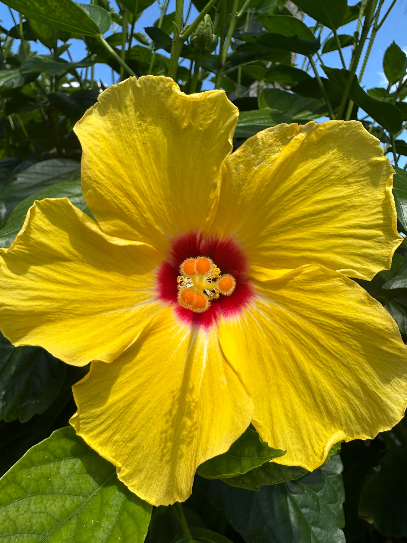 April 2026 - Steven Jungerwirth