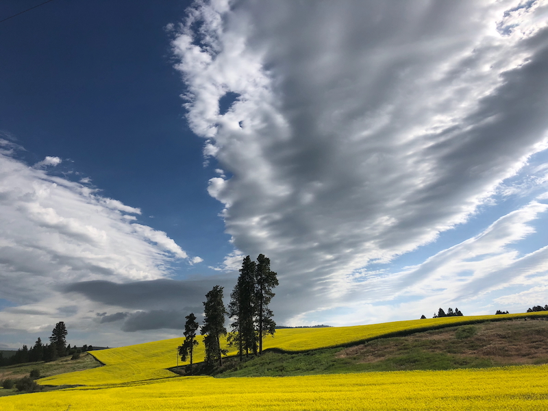 November 2025 - Jack Florence Jr