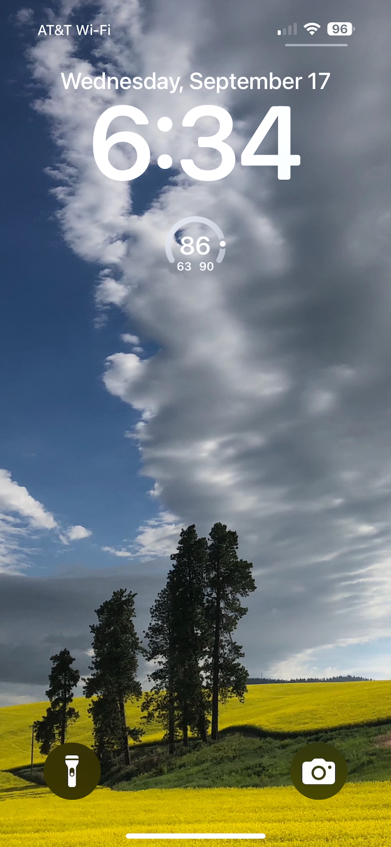 November 2025 - Jack Florence Jr