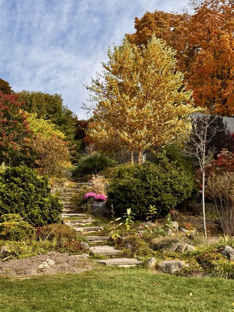 Autumn in Ontario by Susan Pellegrino