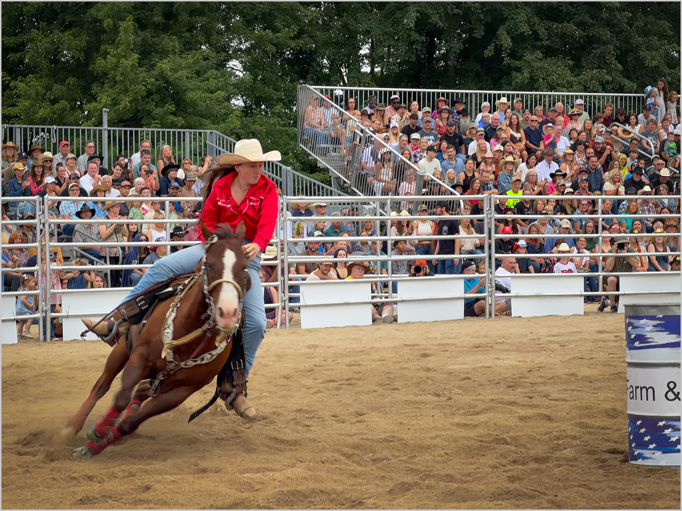 My First Rodeo