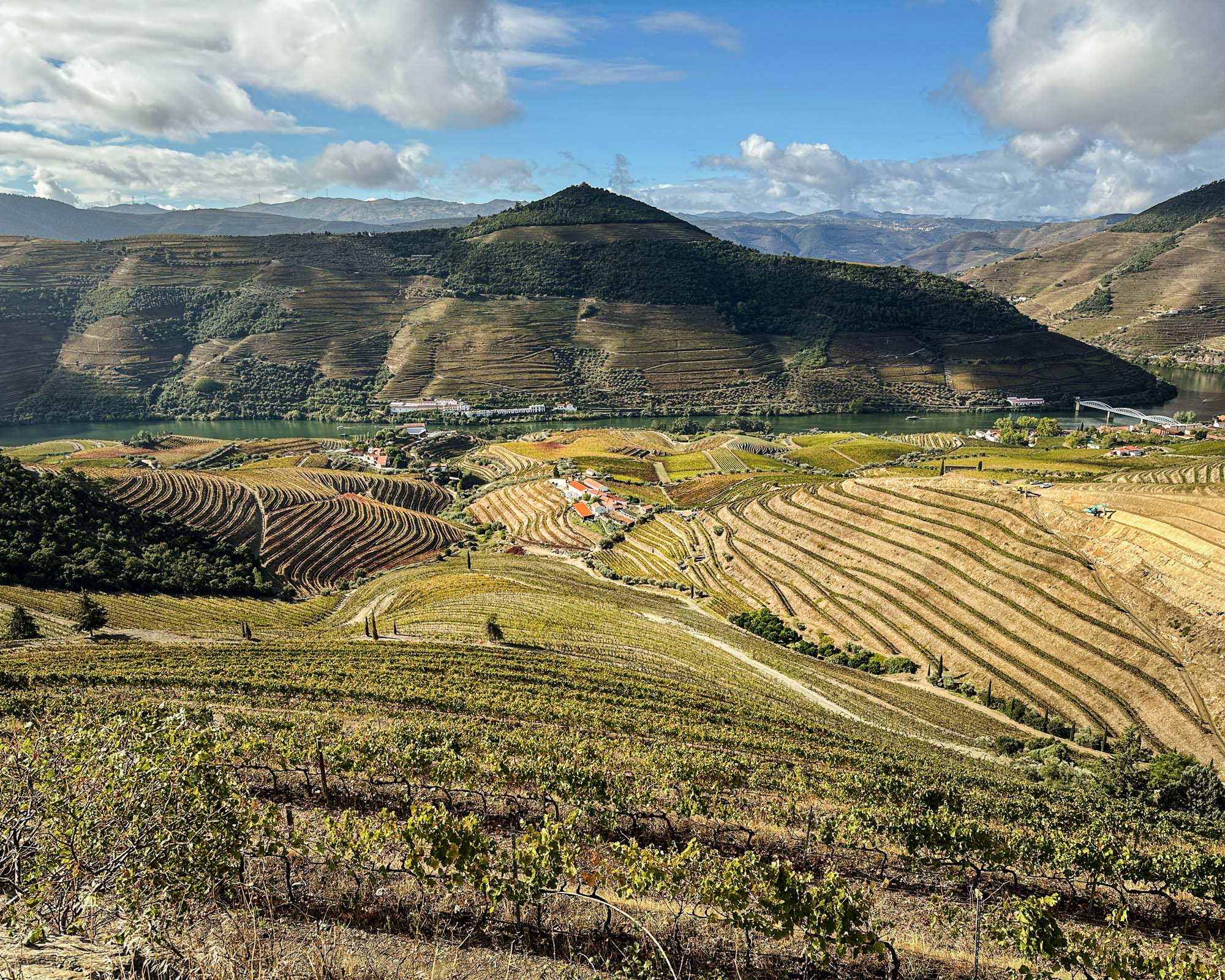 Douro Valley by Steven Jungerwirth