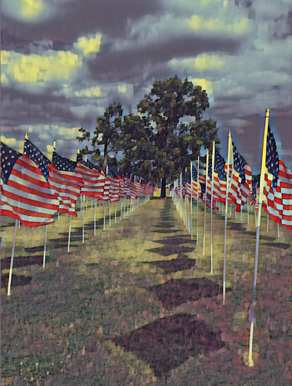 Field of Flags by Pat Centeno