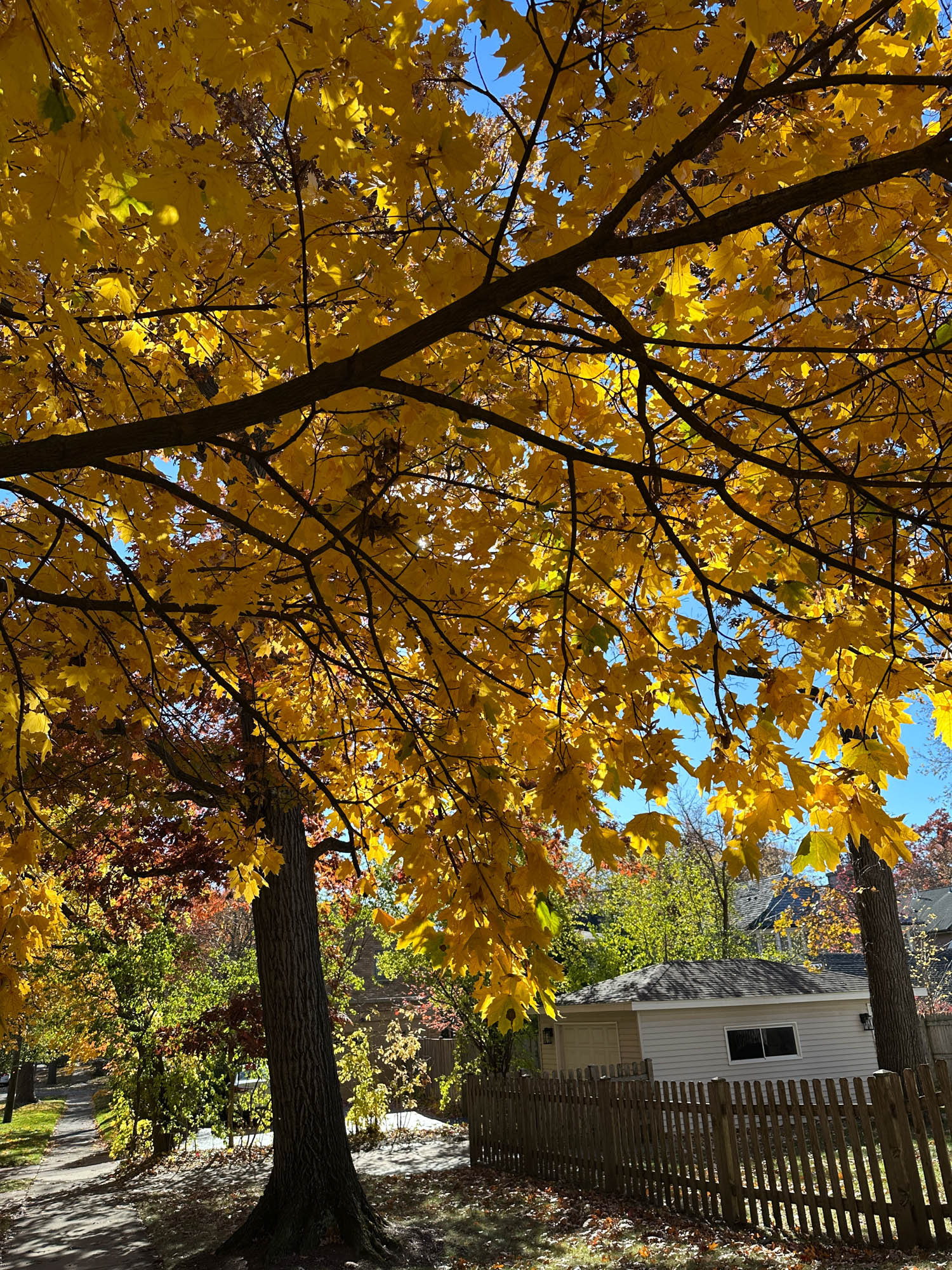 December 2025 - Steven Jungerwirth