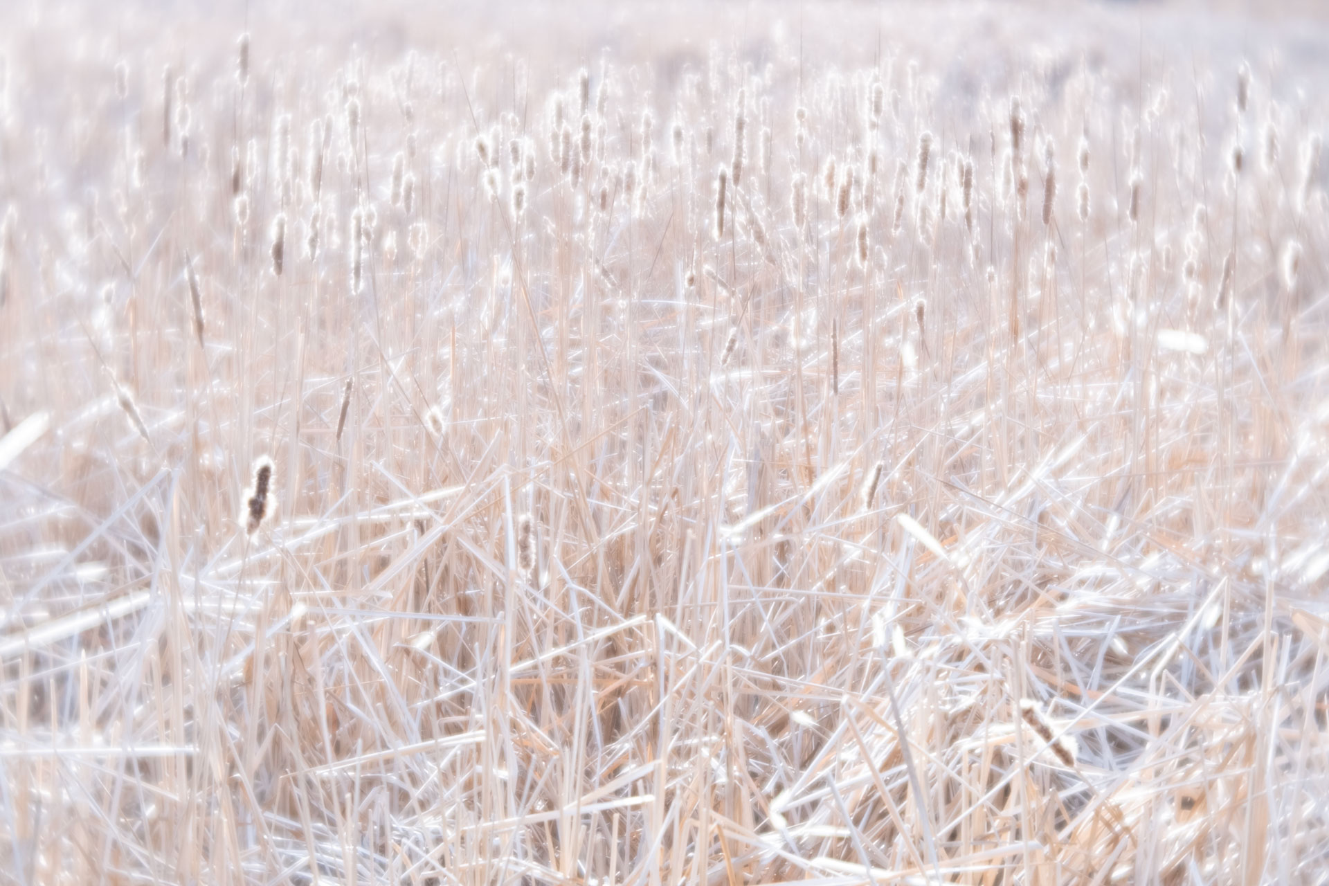 April 2026 - Canan Karatekin