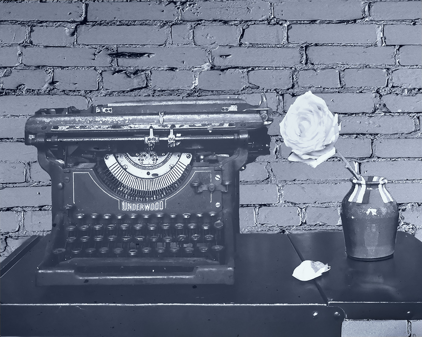 Old typewriter. Rose by Chan Garrett