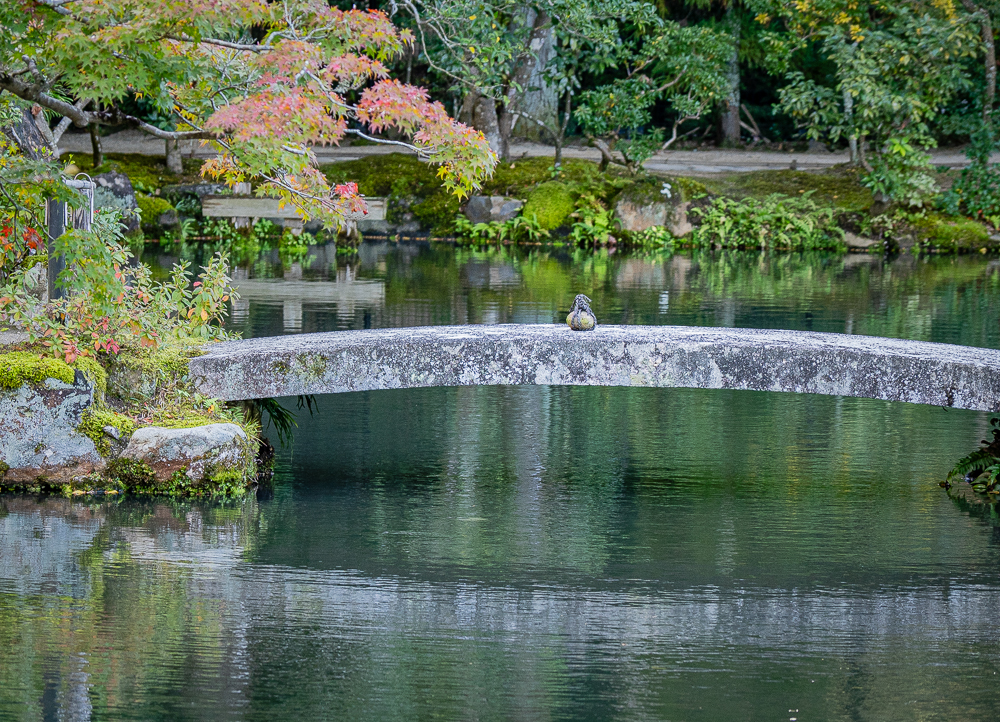 December 2025 - Jennifer Marano