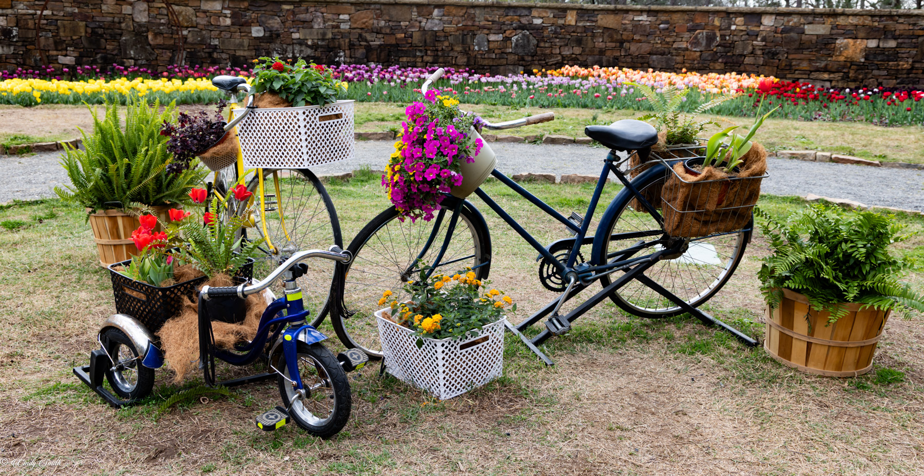 Bikes and Flowers by Cindy Smith