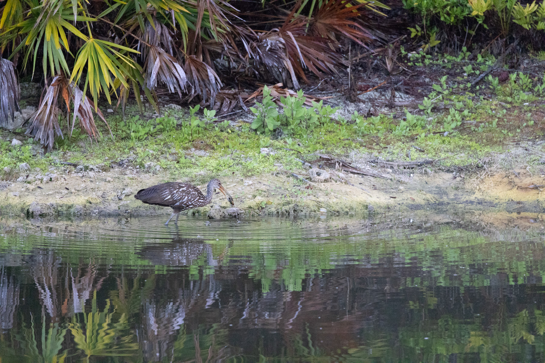 April 2026 - Steven Jungerwirth