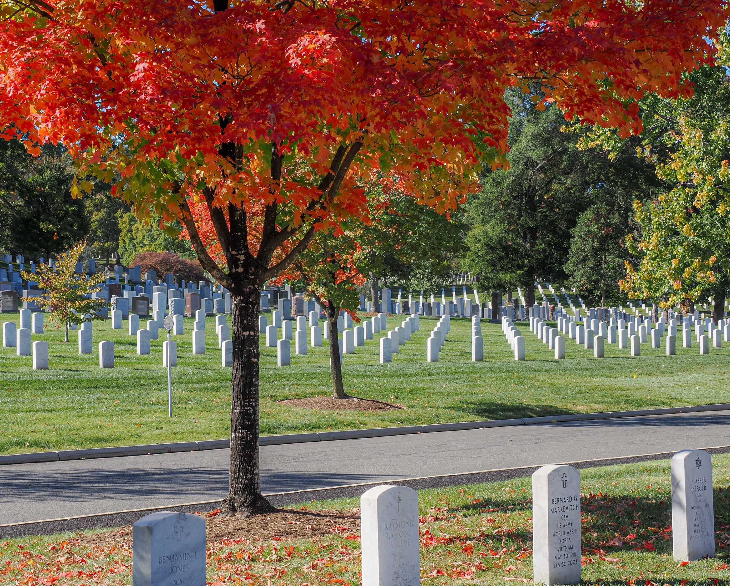 Red leaf season at the martyrs cemetery by Quang Phan