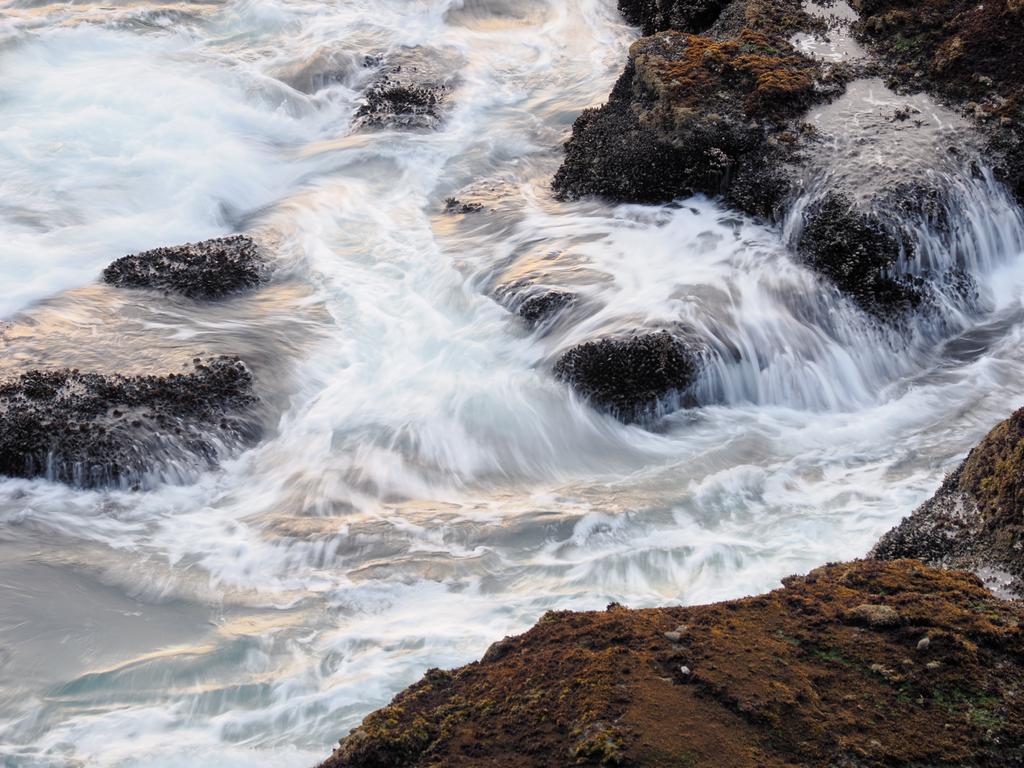 December 2025 - Quang Phan