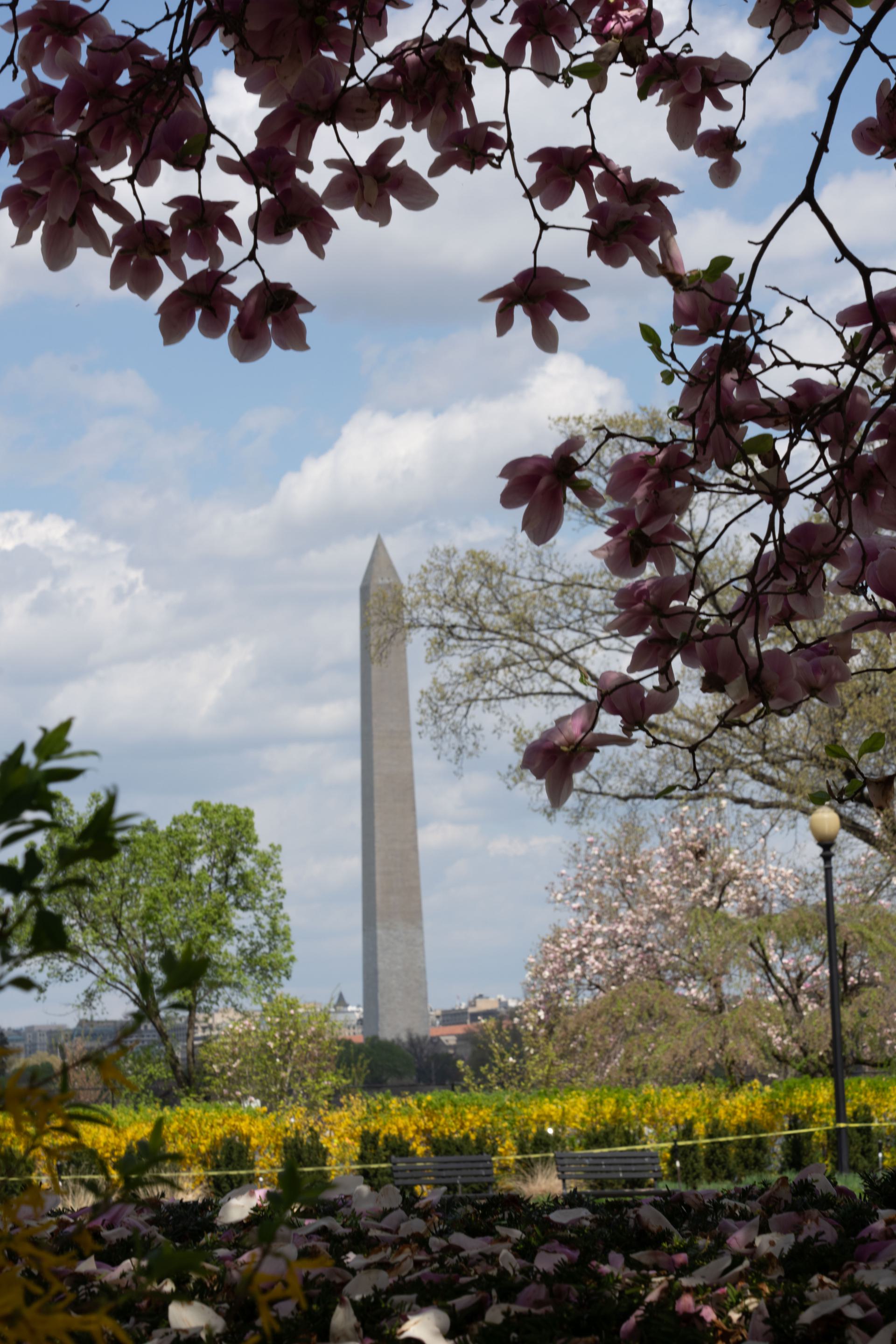 April 2026 - Quang Phan