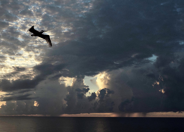 SUNRISE OFF HILTON HEAD ISLAND, S.C.